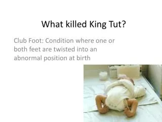 what killed king tut