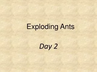 Exploding Ants