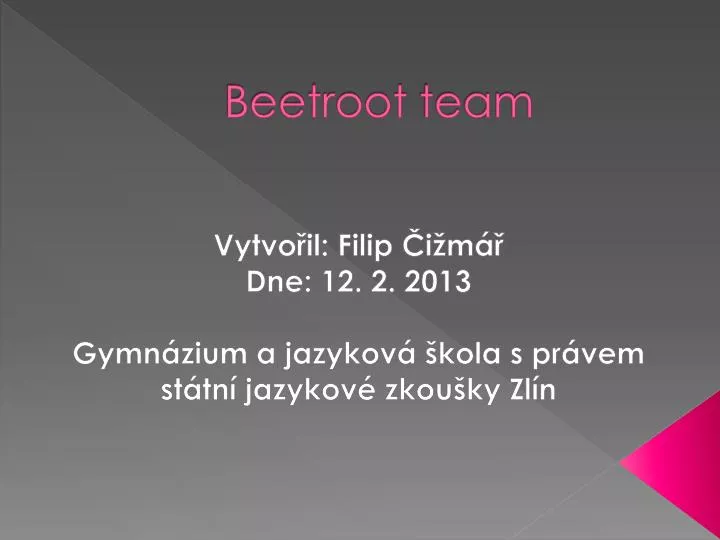 beetroot team