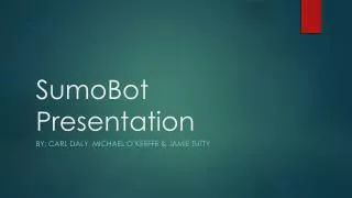 SumoBot Presentation