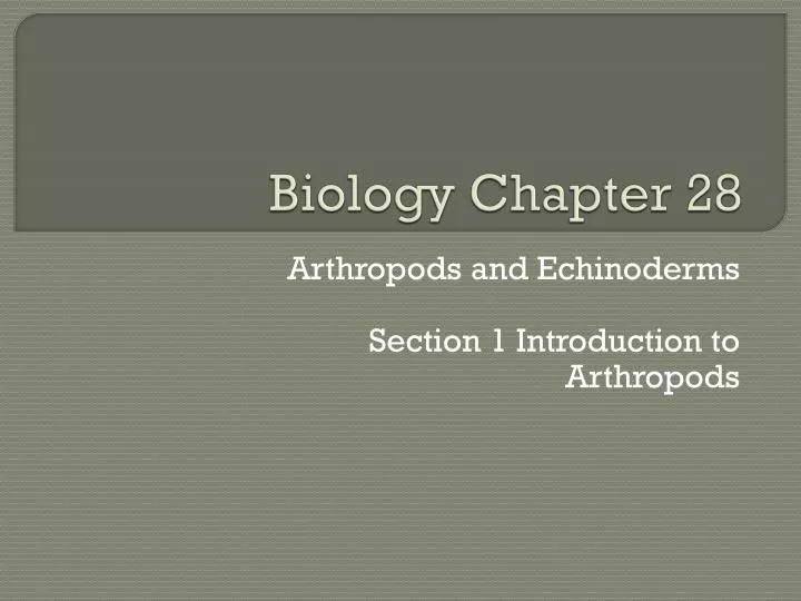 biology chapter 28