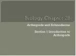 Biology Chapter 28 - slide 1