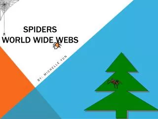 Spiders World wide webs