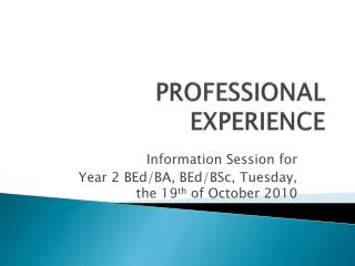 PROFESSIONAL EXPERIENCE