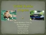 Wildlife Buddies Program - slide 1