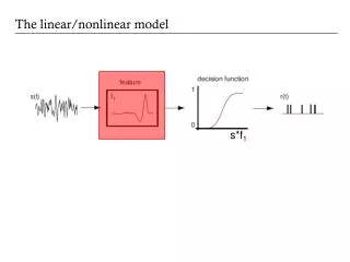 The linear/nonlinear model