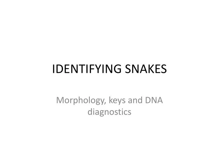 identifying snakes
