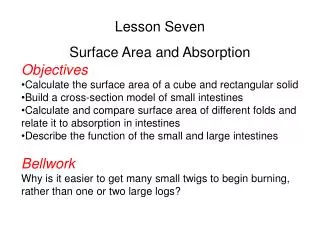 Lesson Seven Surface Area and Absorption