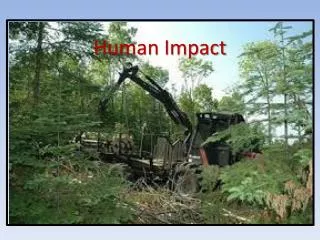 Human Impact