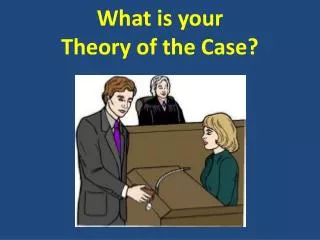 What is your Theory of the Case?