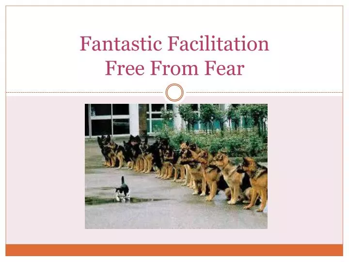 fantastic facilitation free from fear