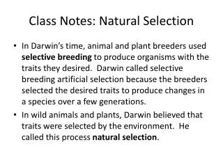 Class Notes: Natural Selection