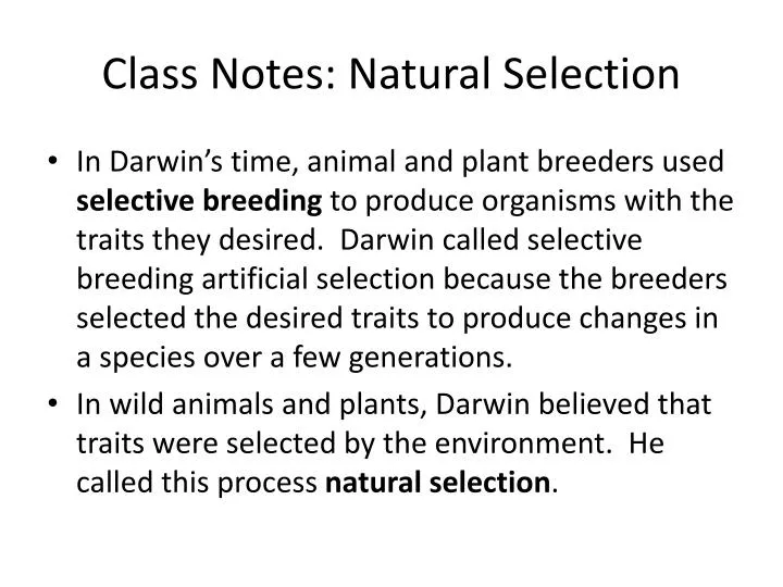 class notes natural selection