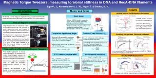 Magnetic Torque Tweezers: measuring torsional stiffness in DNA and RecA -DNA filaments