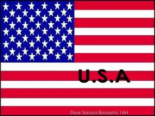 u s a