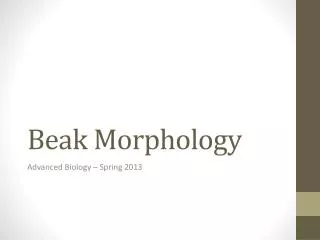 Beak Morphology