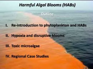 Harmful Algal Blooms (HABs)