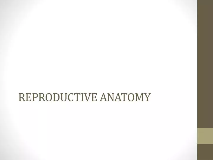 reproductive anatomy