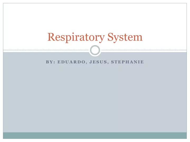 respiratory system