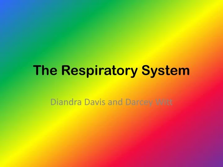 the respiratory system