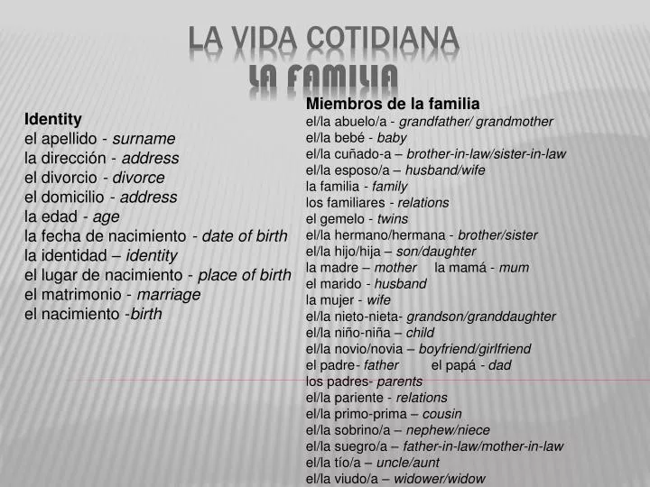 la vida cotidiana la familia