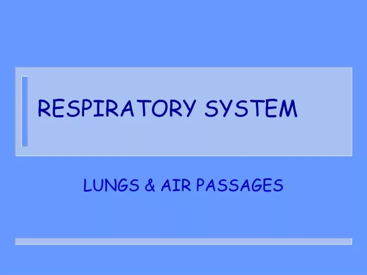 respiratory system