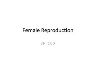 Female Reproduction