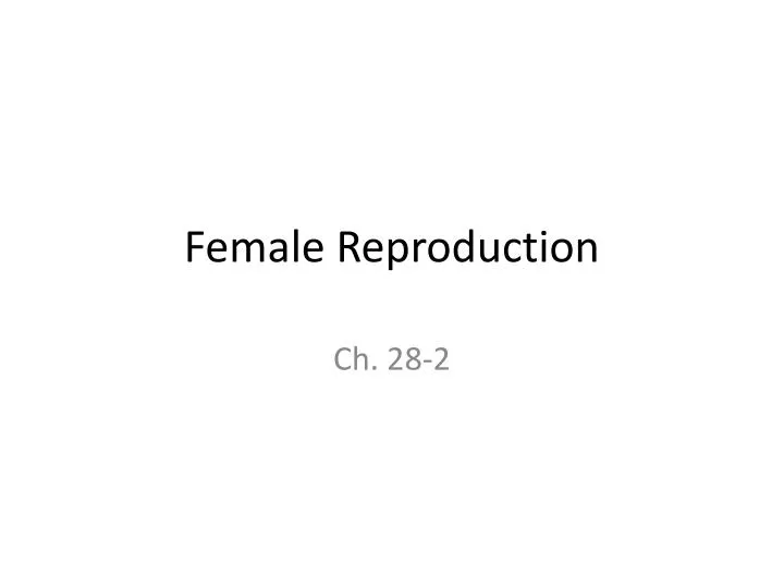 female reproduction