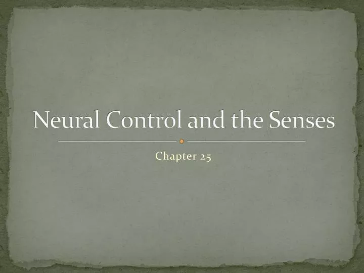 neural control and the senses