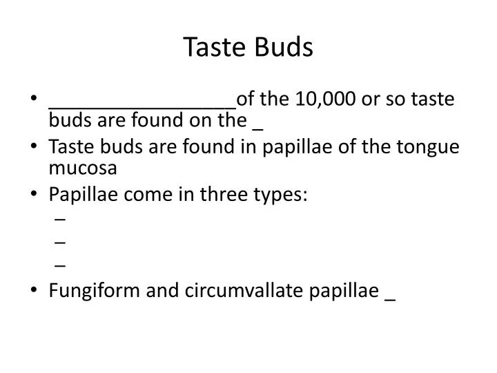 Ppt Taste Buds Powerpoint Presentation Free Download Id2184974 