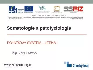 pohybov syst m lebka i