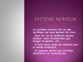 systeme nerveux
