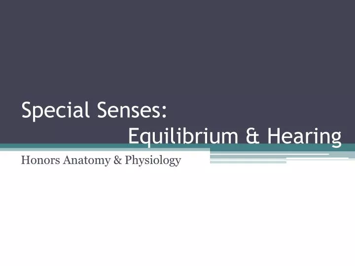 special senses equilibrium hearing