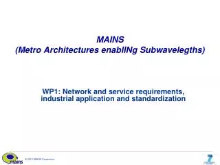 MAINS (Metro Architectures enablINg Subwavelegths)