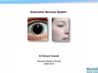 Autonomic Nervous System