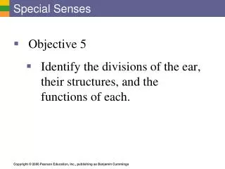 special senses