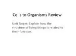Cells to Organisms Review - slide 1