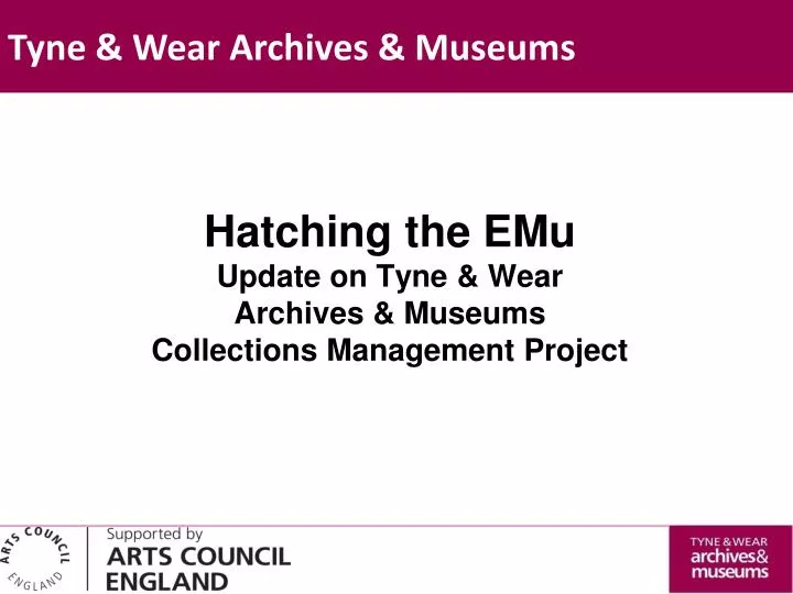 hatching the emu update on tyne wear archives museums collections management project