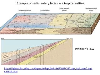 Example of sedimentary facies in a tropical setting
