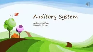 Auditory System Jackson, Kaitlynn Miranda, Fermin