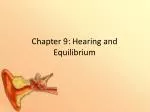 Chapter 9: Hearing and Equilibrium - slide 1