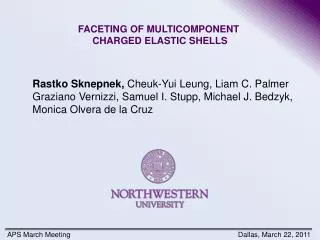 FACETING OF MULTICOMPONENT CHARGED ELASTIC SHELLS