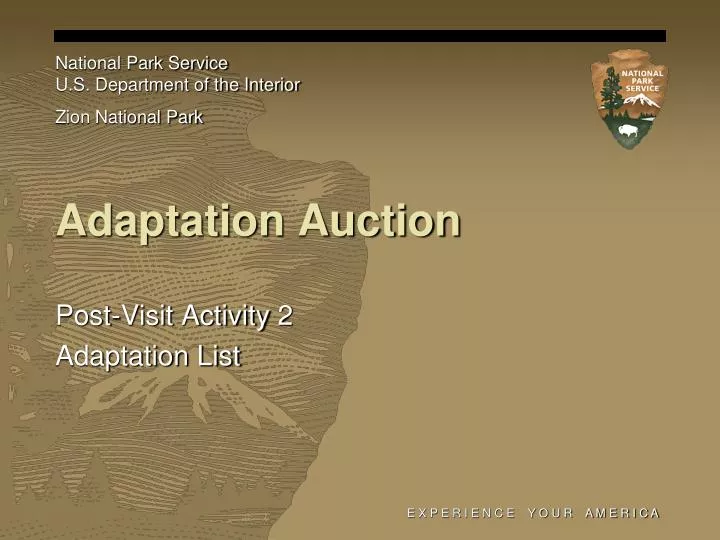 adaptation auction