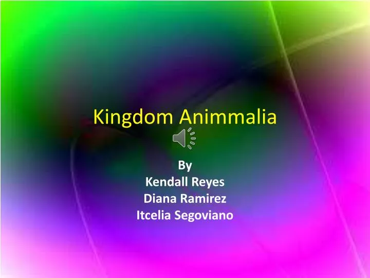 kingdom animmalia