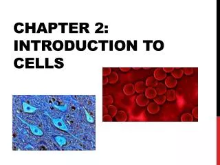 chapter 2 introduction to cells