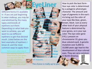 EyeLiner