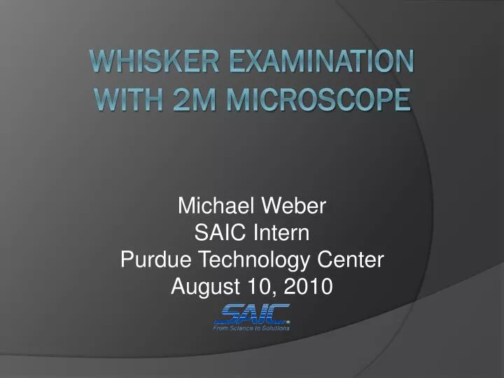 whisker examination with 2m microscope