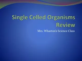 Single Celled Organisms Review