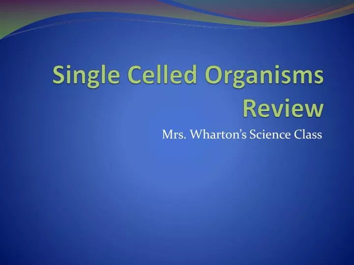 single celled organisms review