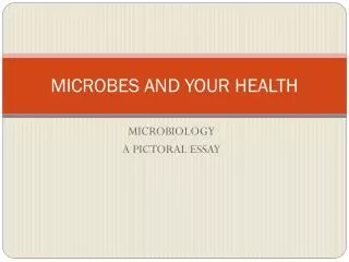 MICROBES AND YOUR HEALTH